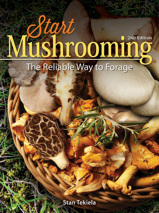 Commencer la culture de champignons 2e